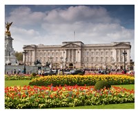 Buckingham Palace & Royal Mews Daytrip