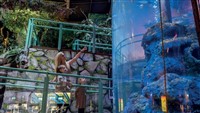 National Sealife Centre & Legoland Discovery