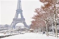 Festive Paris